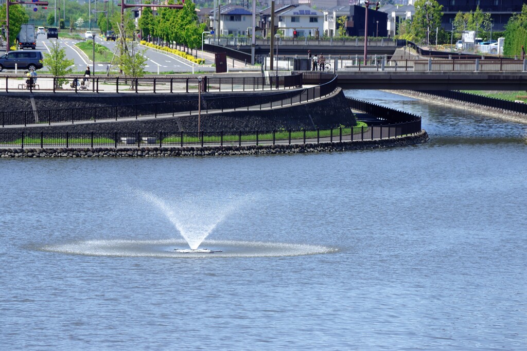 池辺の遊歩道-2