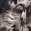 Light and shadow-557