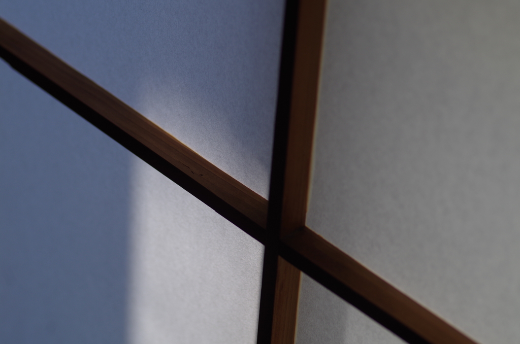 Light and shadow-131