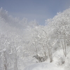 風雪