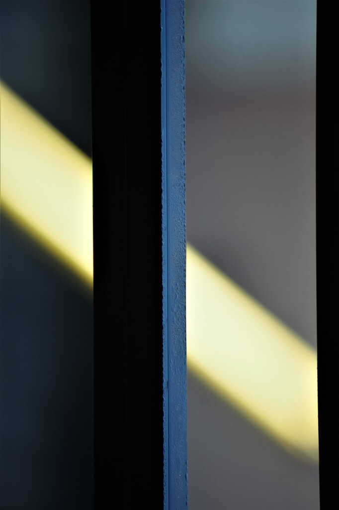 Light and shadow-552