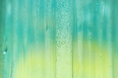 すいてきのせかい-174