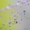 すいてきのせかい-25