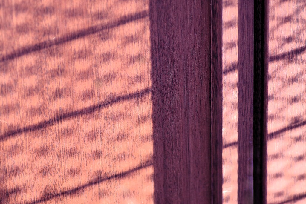 Light and shadow-933