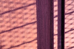 Light and shadow-933