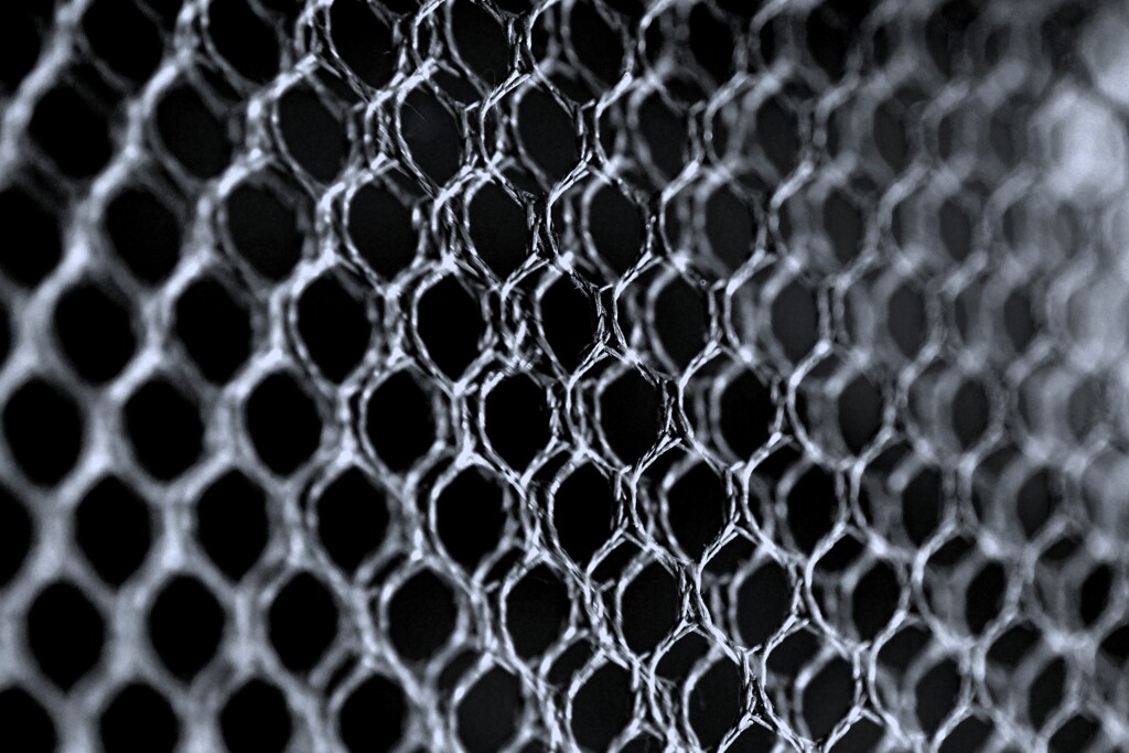 メッシュのせかい-7