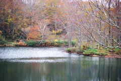 2024 紅葉-4