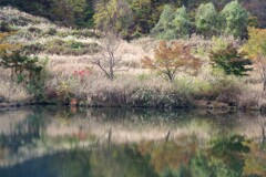 2024 紅葉-6
