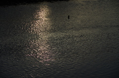 川面を照らす秋の日夕陽