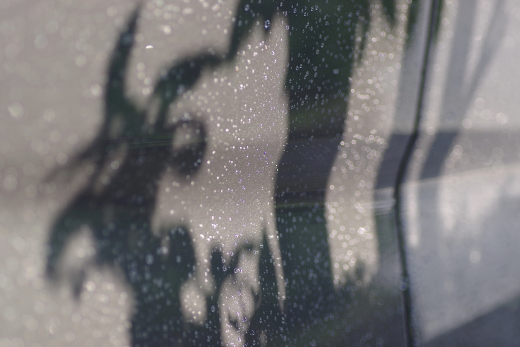 Light and shadow-644