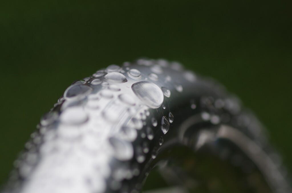 雨上がりのすいてき-2