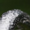 雨上がりのすいてき-2