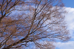 冬至の朝空