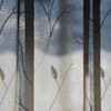 Light and shadow-659