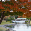 都内庭園　秋-8