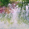 Reflection-296