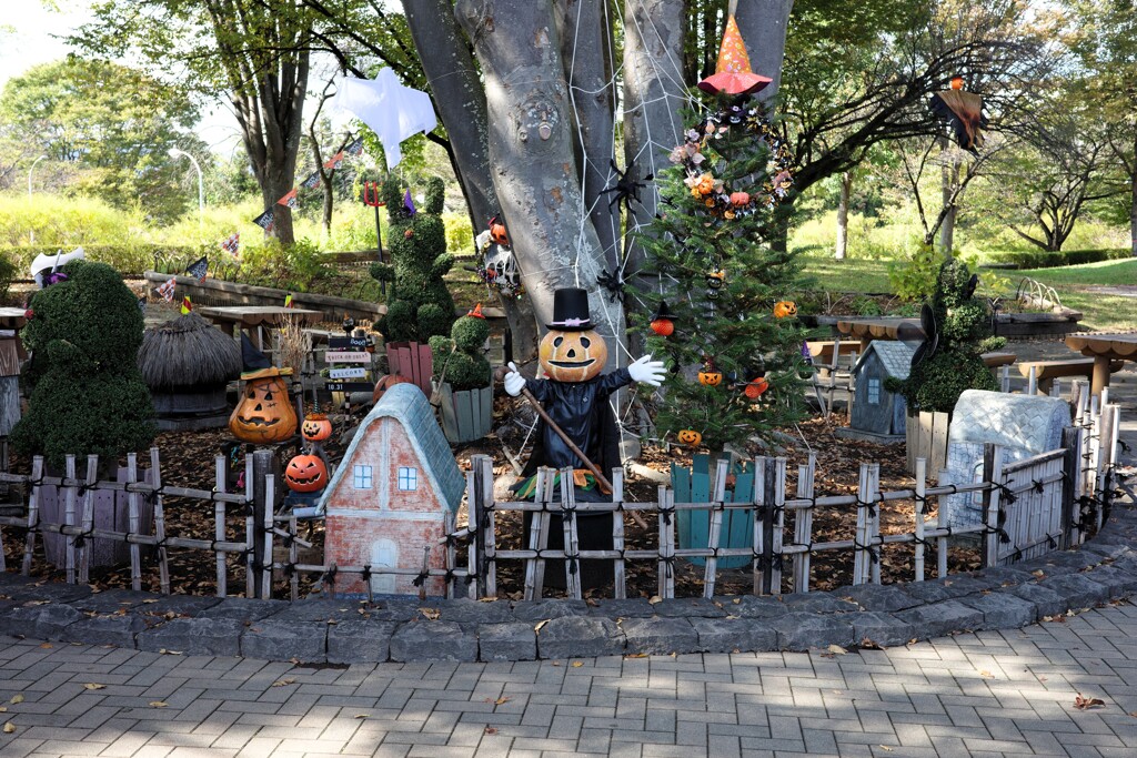 高原のHalloween
