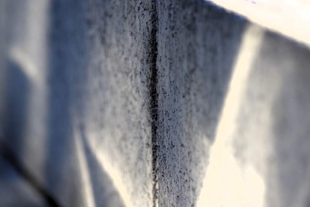 Light and shadow-932