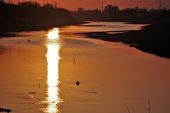 川面に映る夕焼け-2