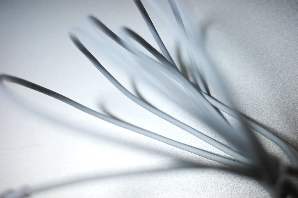 Light and shadow-820