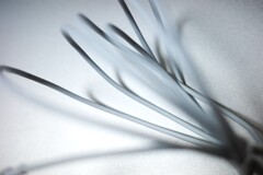 Light and shadow-820