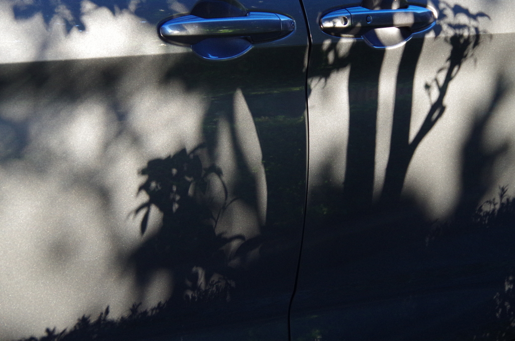 Light and shadow-156