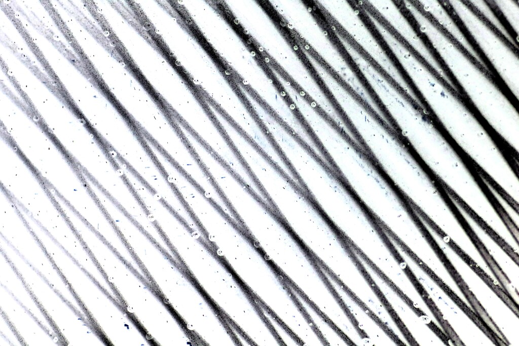 cross-17 rverse