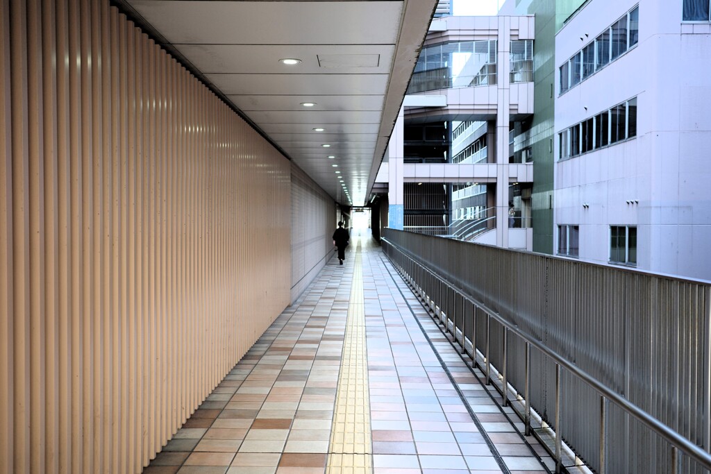 Light and shadow-808