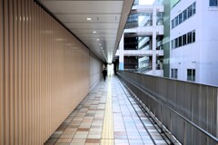 Light and shadow-808