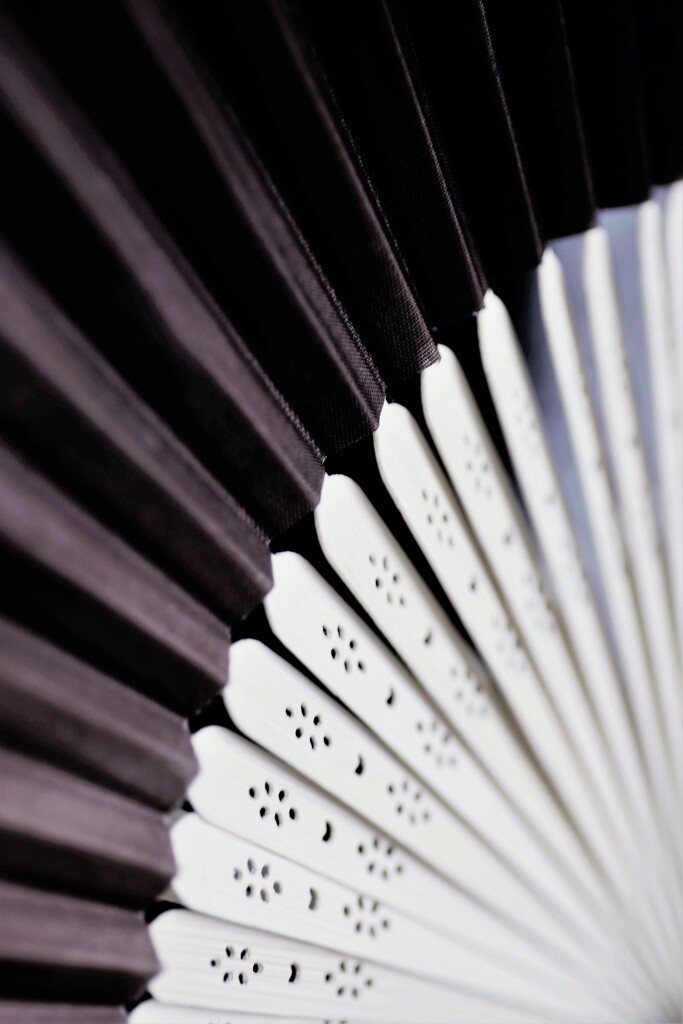 Light and shadow-467