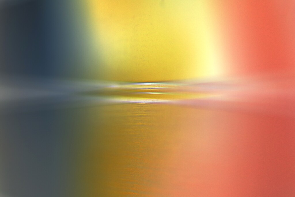 Reflection-557 reverse