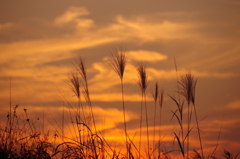 立冬の夕焼け