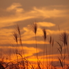 立冬の夕焼け