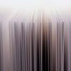 Light and shadow-536