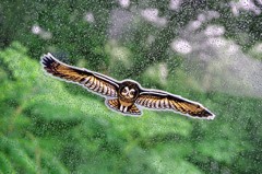 自然と遊ぼう-2