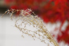 3 colors