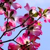 麗しい空間