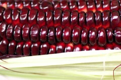 red sweet corn