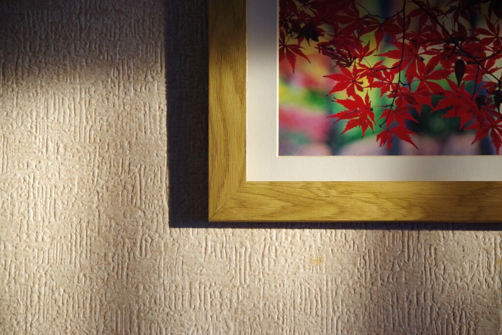 Light and shadow-672