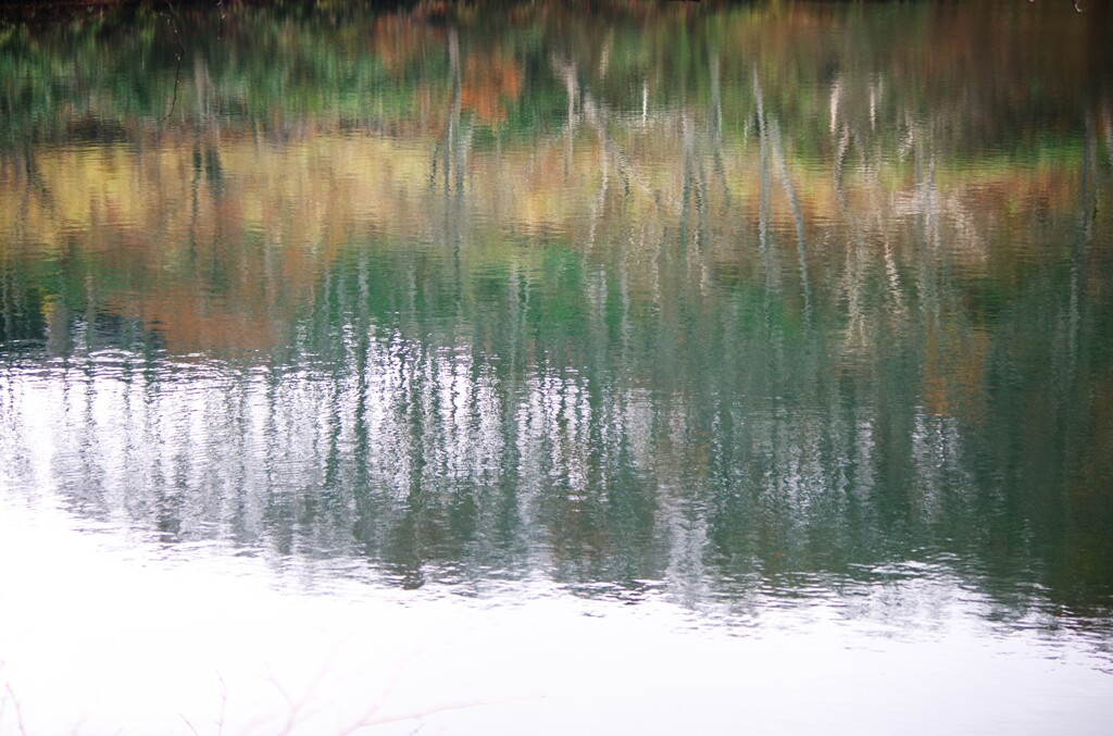 Reflection-492
