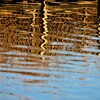 Reflection-166
