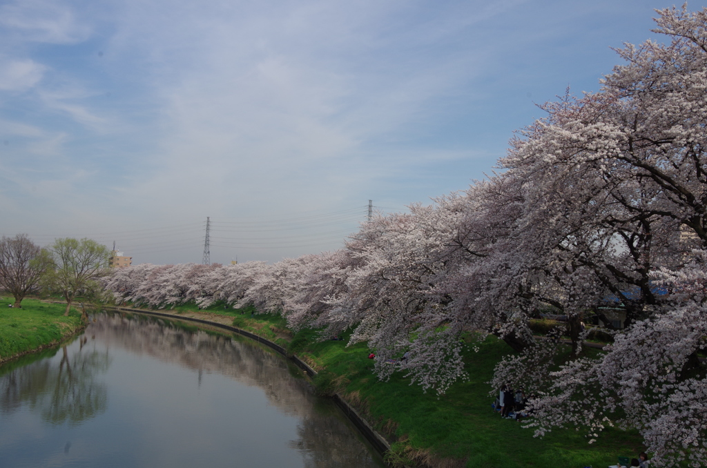 元荒川 春-1
