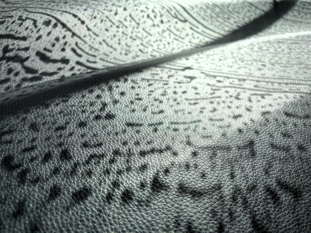 Light and shadow730