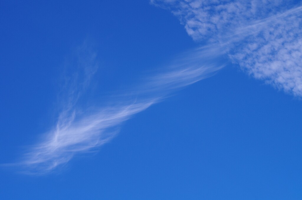 初冬の雲