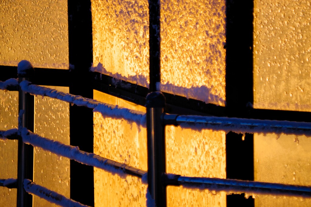 燃えるような朝日に照らされて...