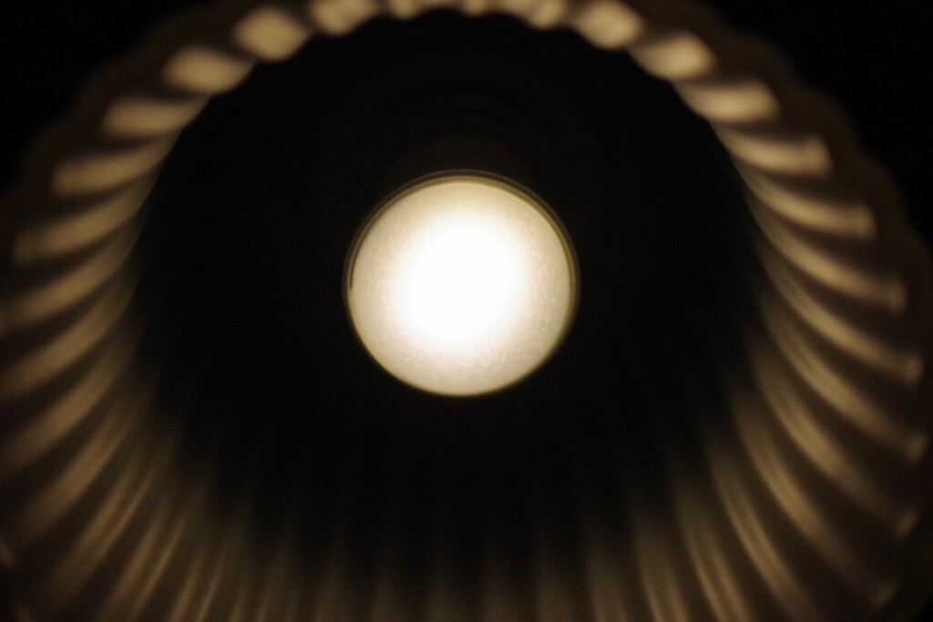 Light and shadow-651