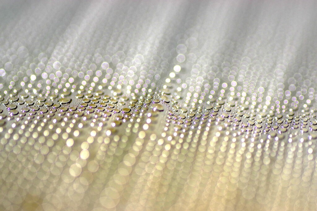 すいてきのせかい-232