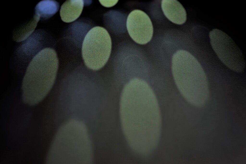 Light and shadow-414