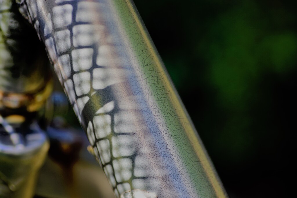 Light and shadow-434