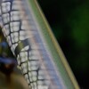 Light and shadow-434